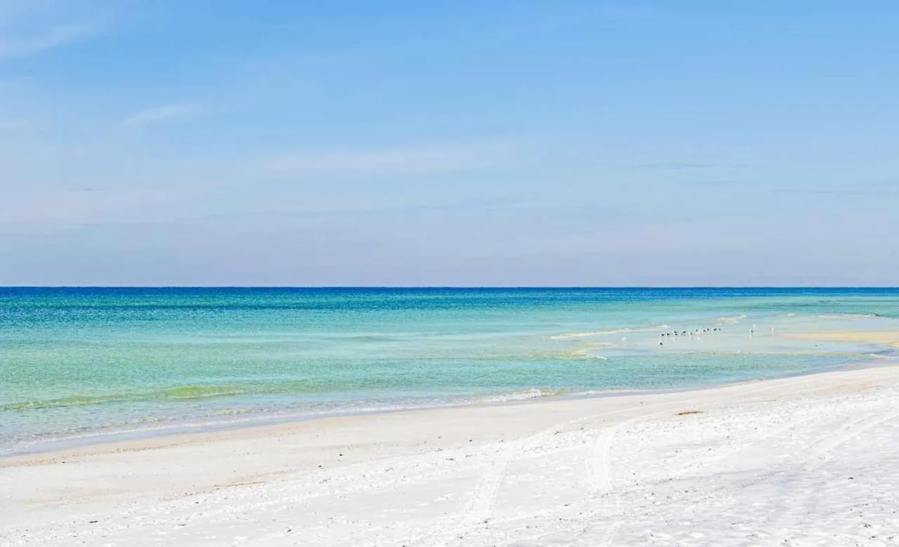 Belles Beach House Panama City Beach